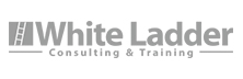 White Ladder Consulting & Training: Developing Strategic Solutions for the Client Organization
